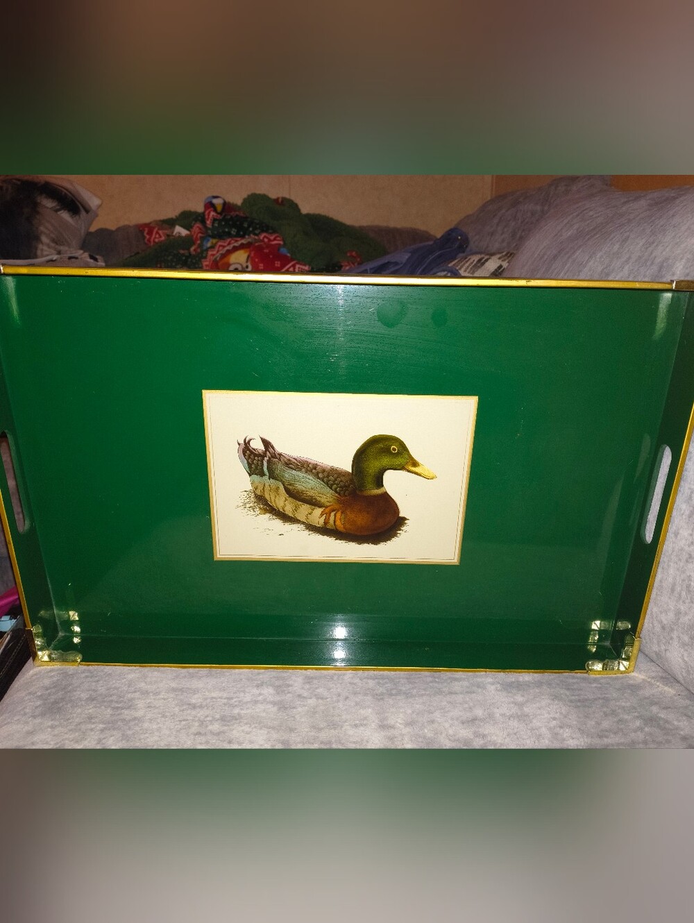 Green Duck-Illustration Decorative Serving Tray